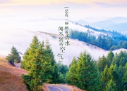 开云-沙漠之狐的致命獠牙，2026世界杯H组突尼斯逆转葡萄牙，穆西亚拉刺穿欧洲冠军防线