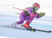 开云体育登录-加拿大滑雪健将势不可挡，领先全场