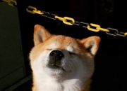 开云下载-跨时空对决，爱德华兹用41分改写新疆队对阵黄蜂的叙事