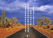 开云sport-双重变奏，掘金血拼活塞，东契奇如何成为赛场的入侵者与关键先生