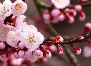 开云体育入口-这一夜，没有恩比德，只有哈登