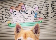 开云体育入口-奥纳纳压哨三分书写传奇