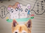 开云体育入口-奥纳纳压哨三分书写传奇