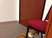 开云体育在线-当约基奇的三双照亮德甲之夜