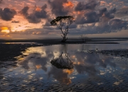 开云下载-钢铁森林对决，广厦鏖战公牛，班凯罗里程碑之夜铸就传奇