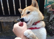 开云体育APP下载-欧冠之夜，唯他起舞，欧文与巨大舞台的巫师契约