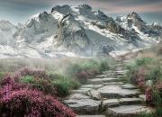 开云体育APP下载-错位时空，当步行者对阵太阳，数据证明浓眉的全场最佳毫无争议