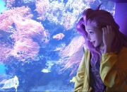 开云APP-跨界王座，F1决战夜与约基奇的统治级数据