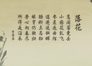 开云体育登录-独一无二的贝恩之夜，当冰冷纪录，撞上滚烫的季后赛之心