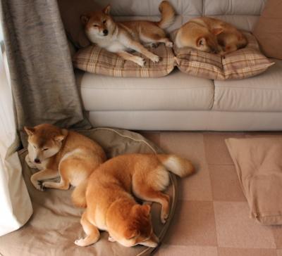 面对旧主尼克斯的生死时刻，杜兰特如何为鹈鹕挺身而出？