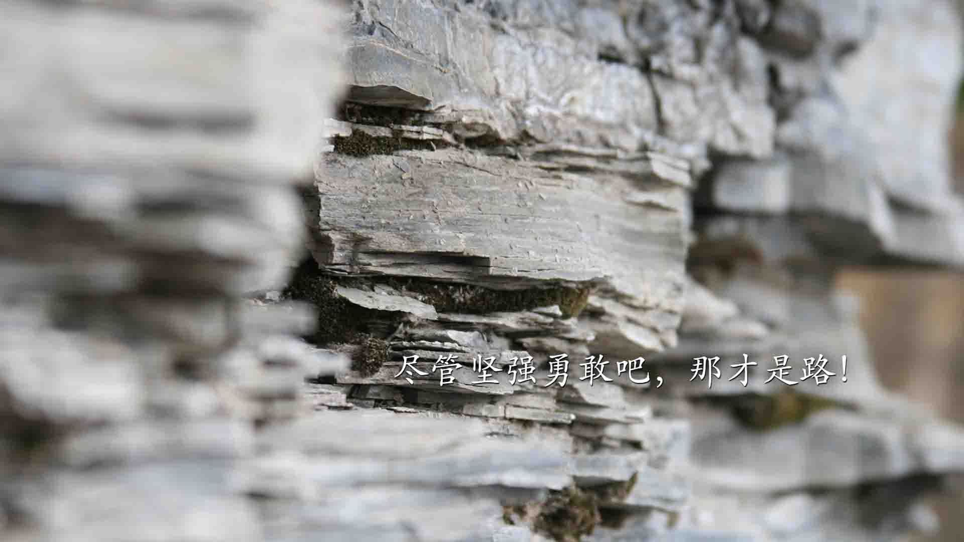 铁血绞杀，公牛窒息式防守强行终结骑士，芝加哥的逆袭之夜