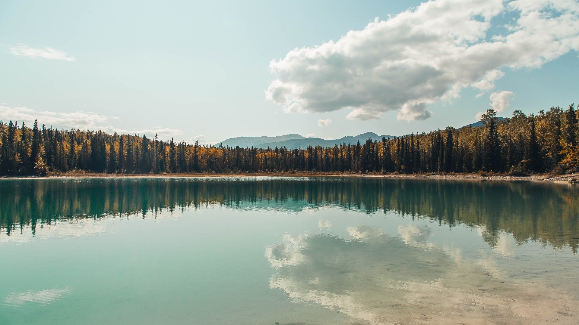唯一性，当波斯铁骑遭遇天蓝军团，戈麦斯在两种文明之间统治全场