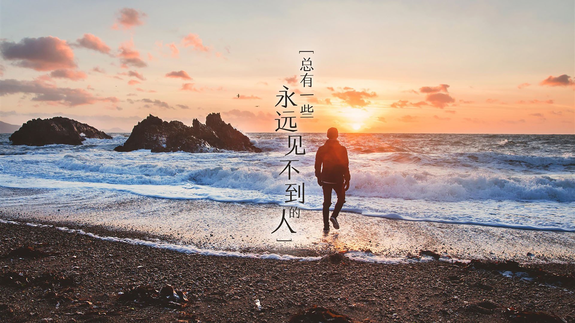 无双与平庸，当恩比德展现冠军级表现，鹈鹕用体系碾压公牛