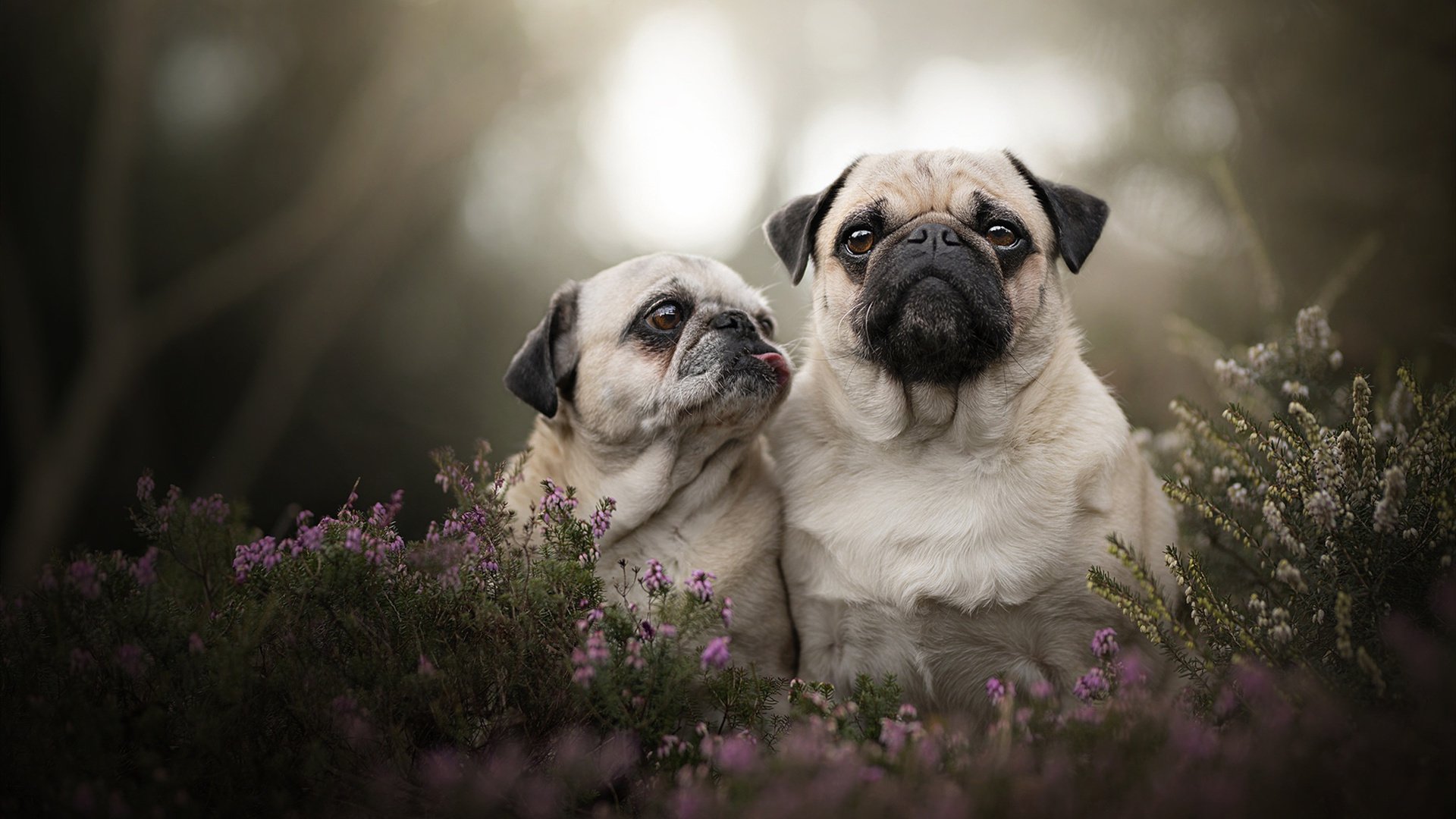 欧冠专属BGM，当后防舞台的幕布拉开，阿坎吉从不怯场