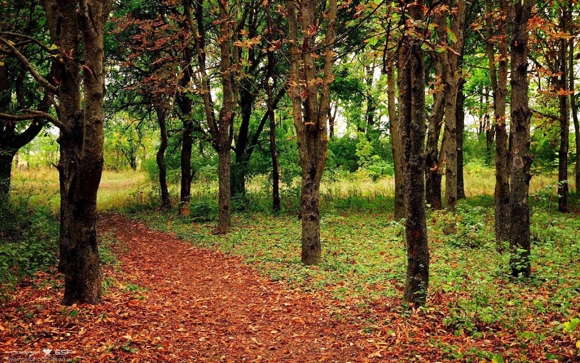 双重悬念夜，德甲争冠史诗绝平，NBA加时见证神迹
