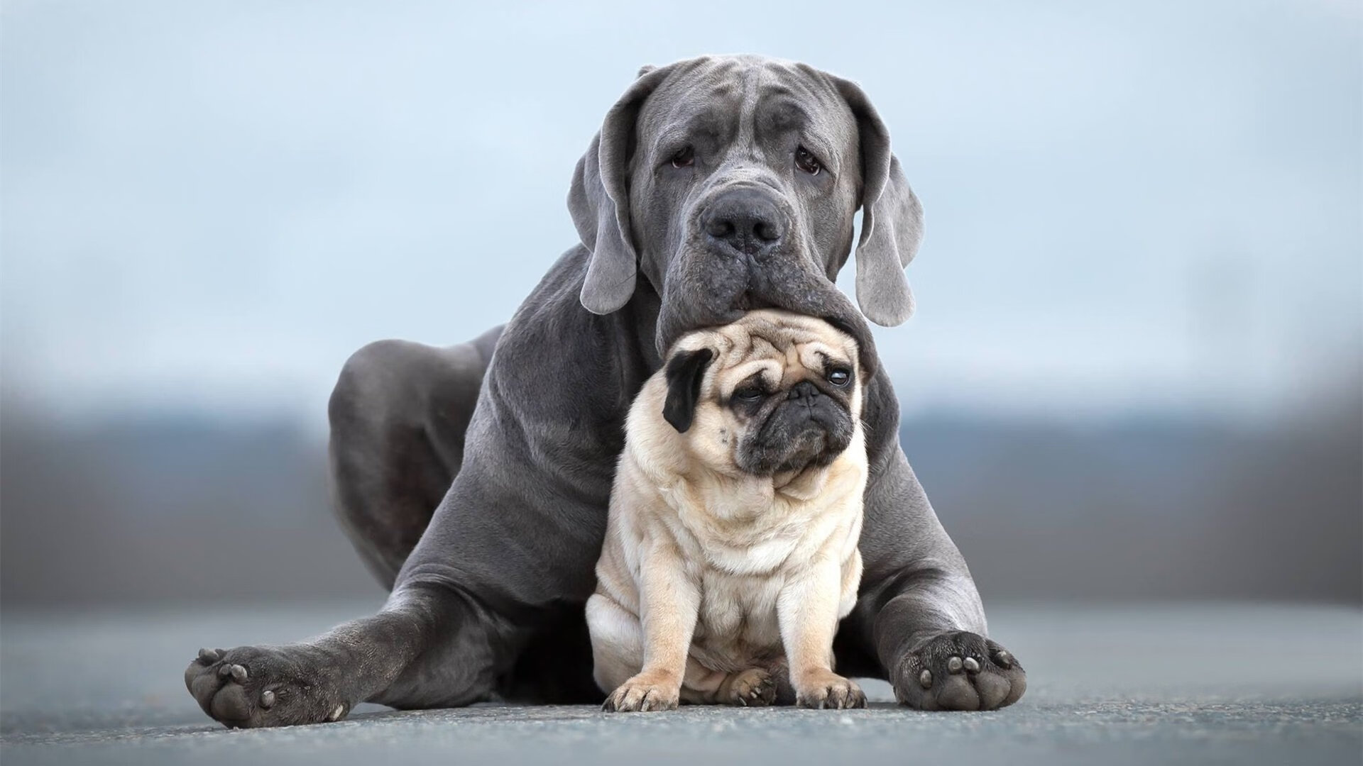 矛与盾的史诗,当库里的三分暴雨,遇上新疆队的钢铁丛林