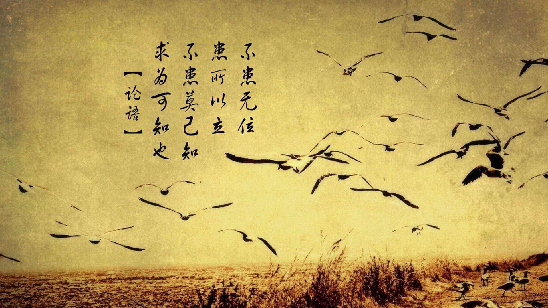 欧洲火种，独行侠压哨胜利与戈贝尔欧冠统治的跨洋回响