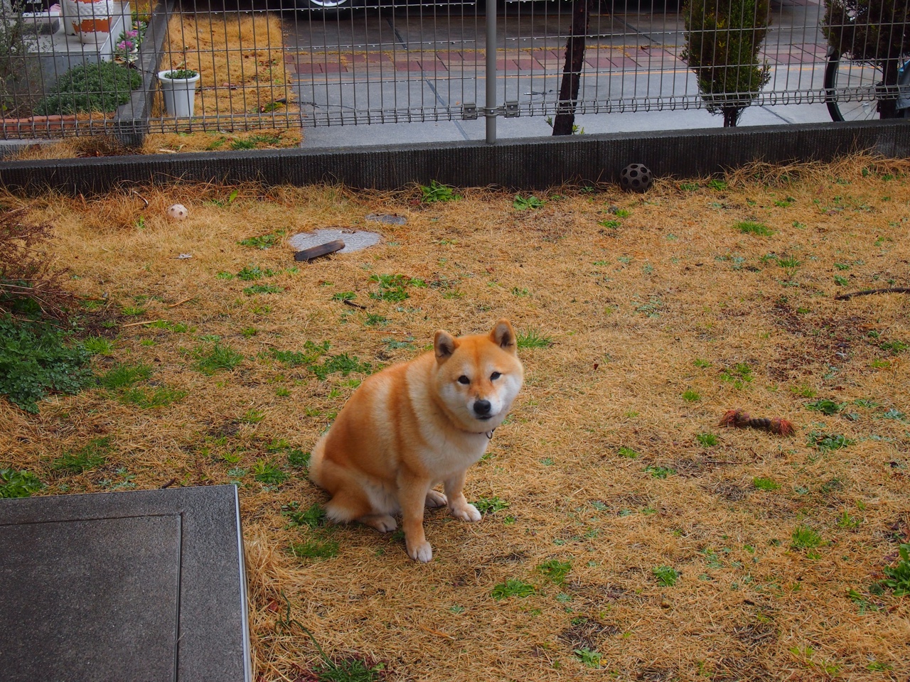 化身雄鹿版莫兰特！关键战他如利刃出鞘，率队灼穿热火铁壁