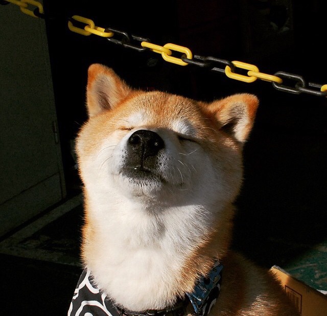 跨时空对决，爱德华兹用41分改写新疆队对阵黄蜂的叙事