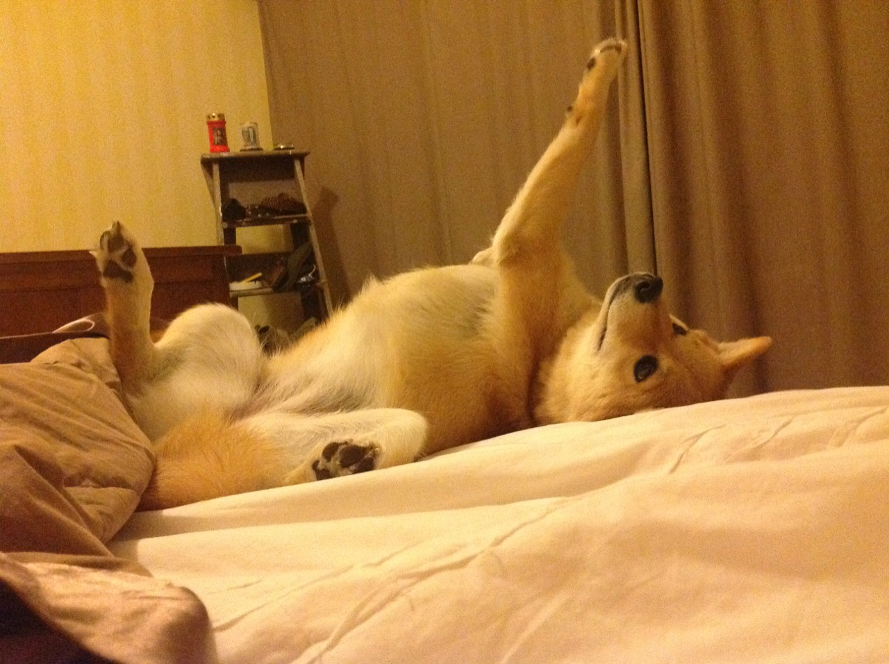 跨时空对决，爱德华兹用41分改写新疆队对阵黄蜂的叙事