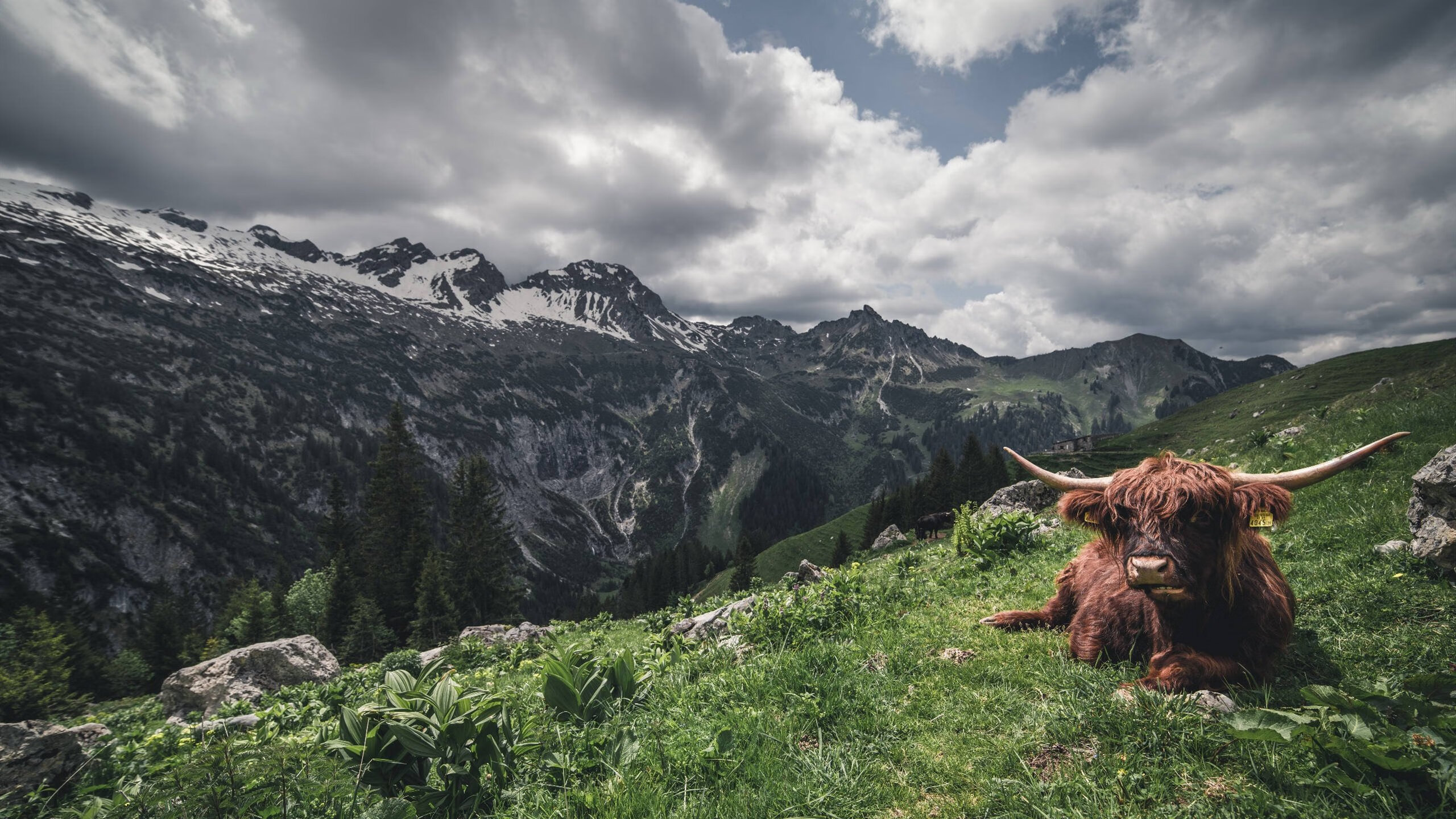 火海焚盾，亚特兰大窒息式进攻撕裂德国战车，世界排名争夺战上演战术革命