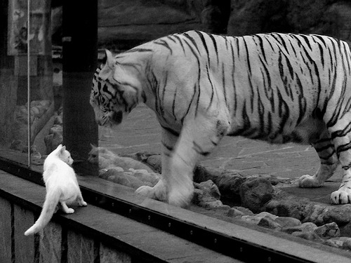 单节狂飙与数据风暴，从委内瑞拉男篮到莫德里奇，定义伟大的不同维度
