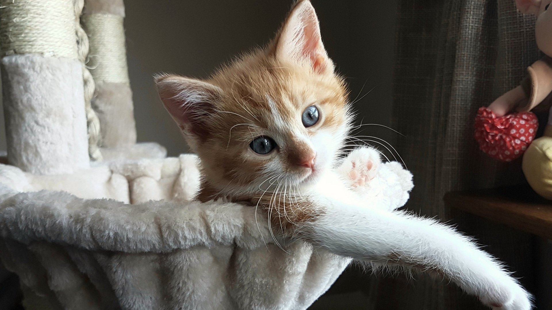 封锁佛罗伦萨，戈麦斯一人之力改写历史的传奇