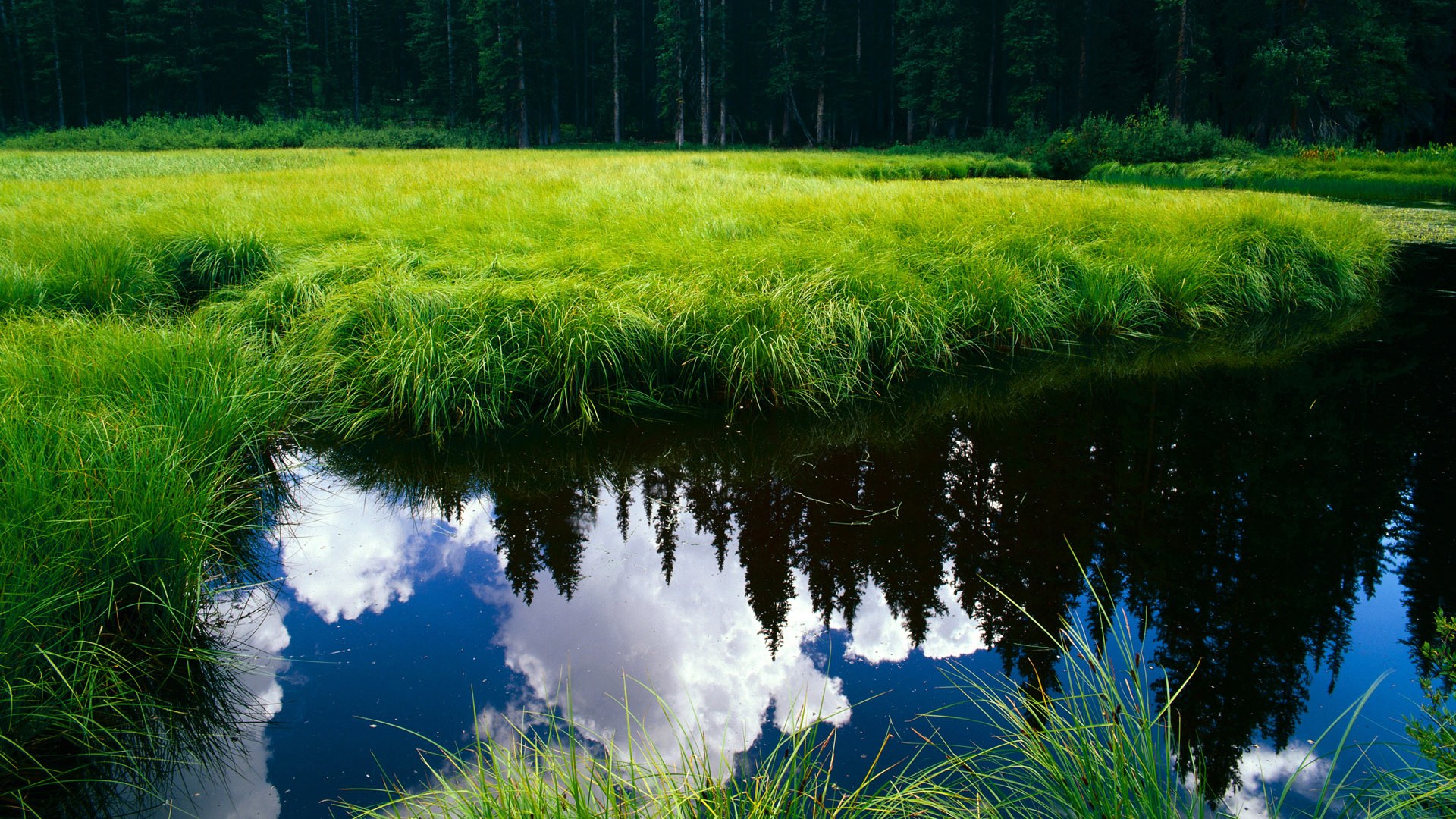 东方法杖挥舞，亚洲风暴席卷亚平宁—伊拉克黄金一代强行终结那不勒斯欧冠梦，三笘薰关键回合一剑封喉