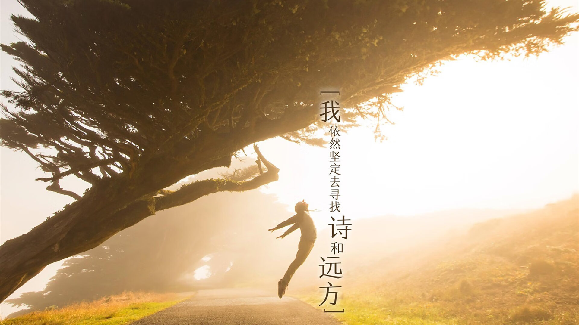 破解连续进攻之谜！库尔图瓦的两次神扑如何成为守护摩纳哥的关键先生？