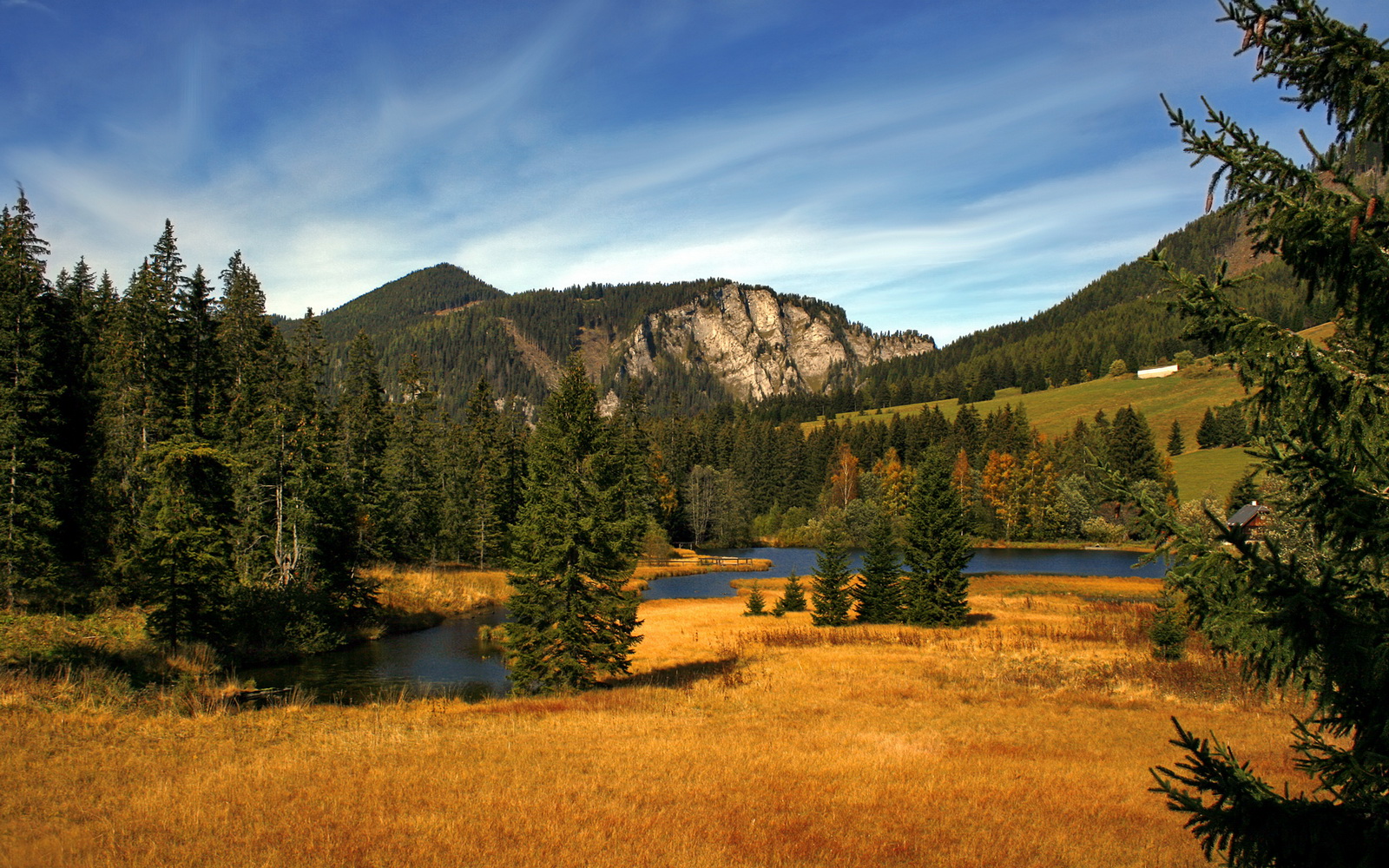 逆天改命！布克化身夜店白月光，用一己之力驱散北京队五年心魔