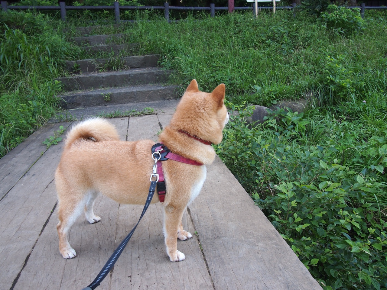 夜战拜仁城，巴尔韦德与那两发轰塌王座的炮弹