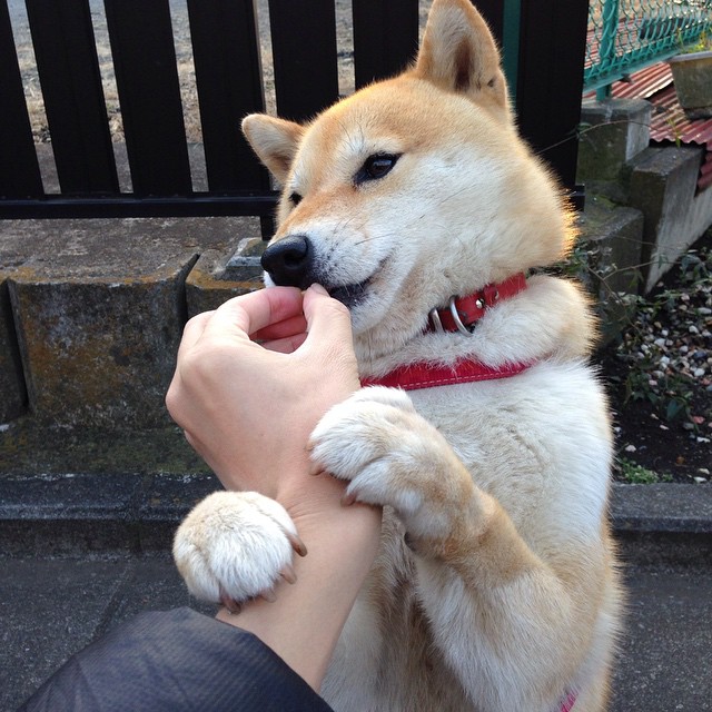 欧冠之夜，唯他起舞，欧文与巨大舞台的巫师契约