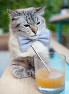 NBA季后赛焦点战，最后一秒，班凯罗的0.6秒绝杀定义魔术新时代