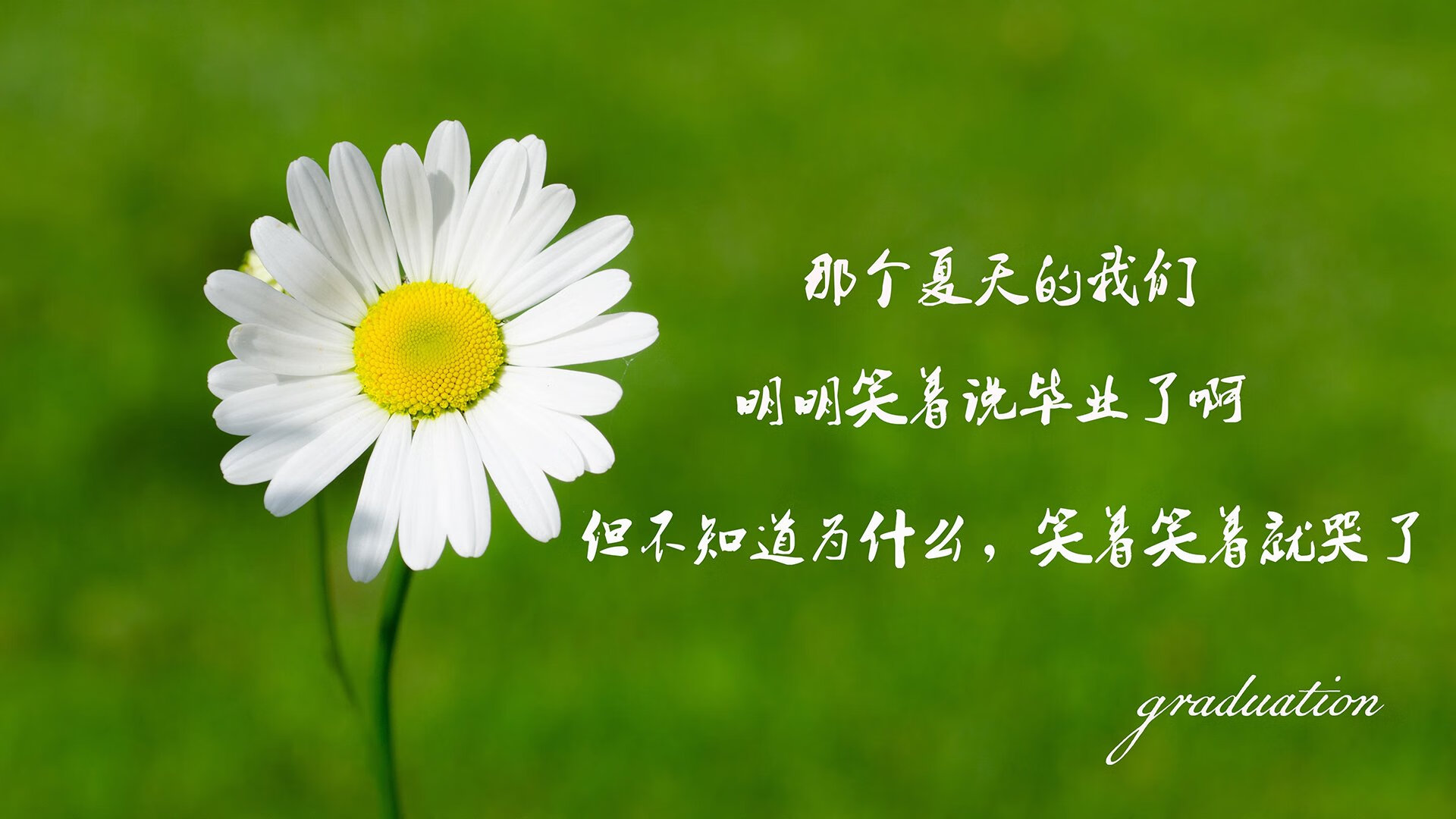 终极试炼,当文班亚马在奥运周期的十字路口,以天神下凡之姿碾碎骑士,为法国篮球的野心加冕