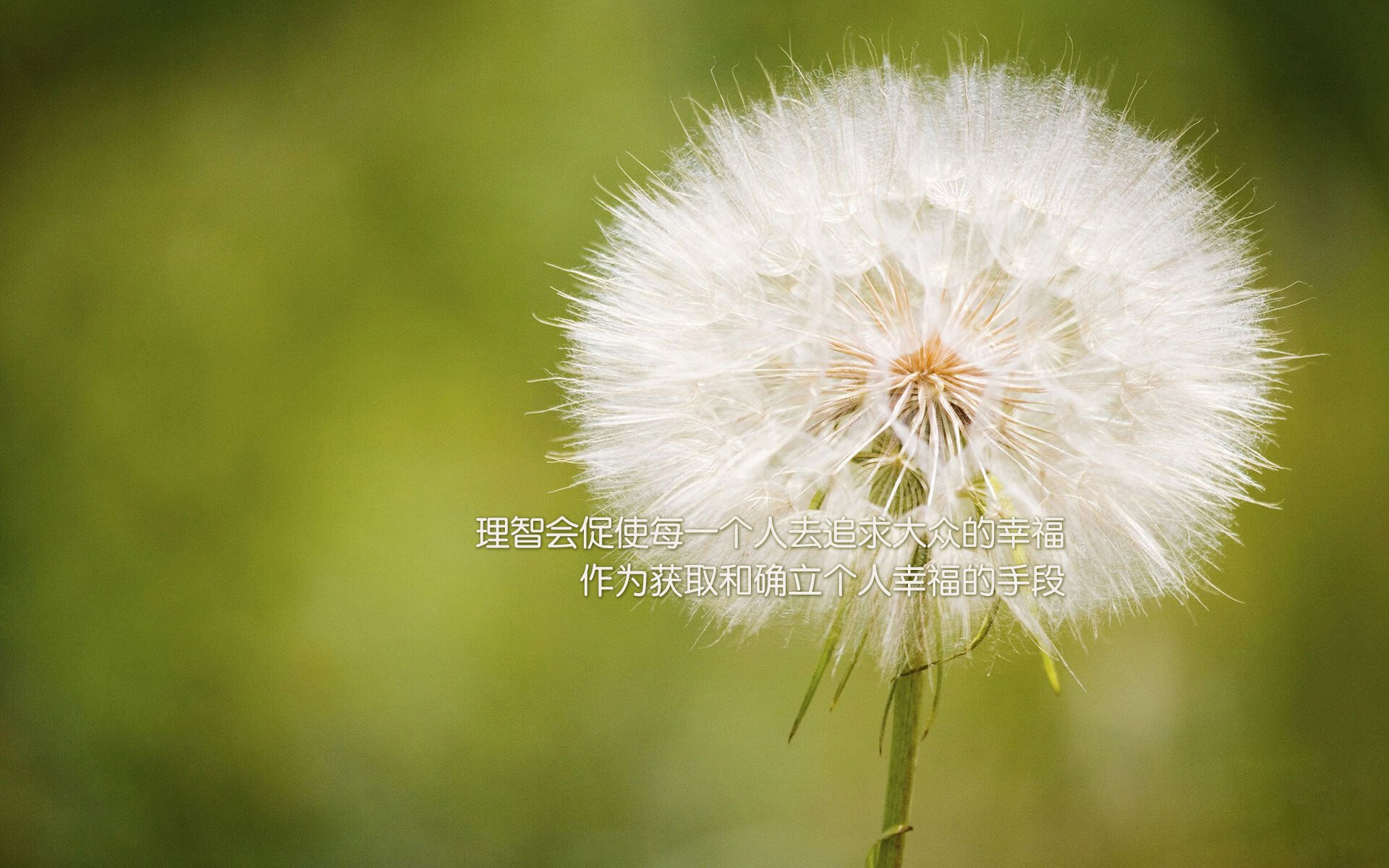 沙漠之刺,2026世界杯复仇之战,卡塔尔如何用阿诺德的致命一击,刺穿哥伦比亚的黄金之盾
