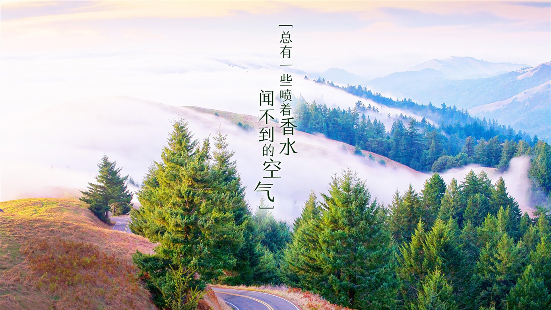 沙漠之狐的致命獠牙，2026世界杯H组突尼斯逆转葡萄牙，穆西亚拉刺穿欧洲冠军防线