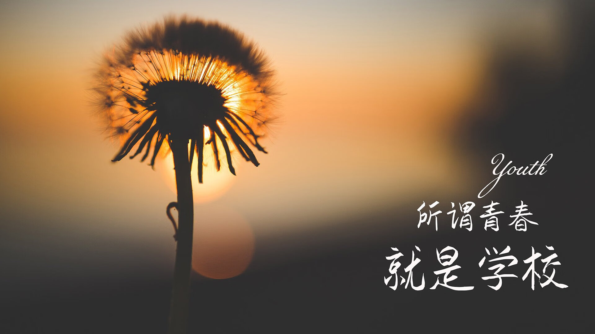 冰雪中的致命一击，2026世界杯，芬兰如何在佩德里的光芒下逆袭匈牙利