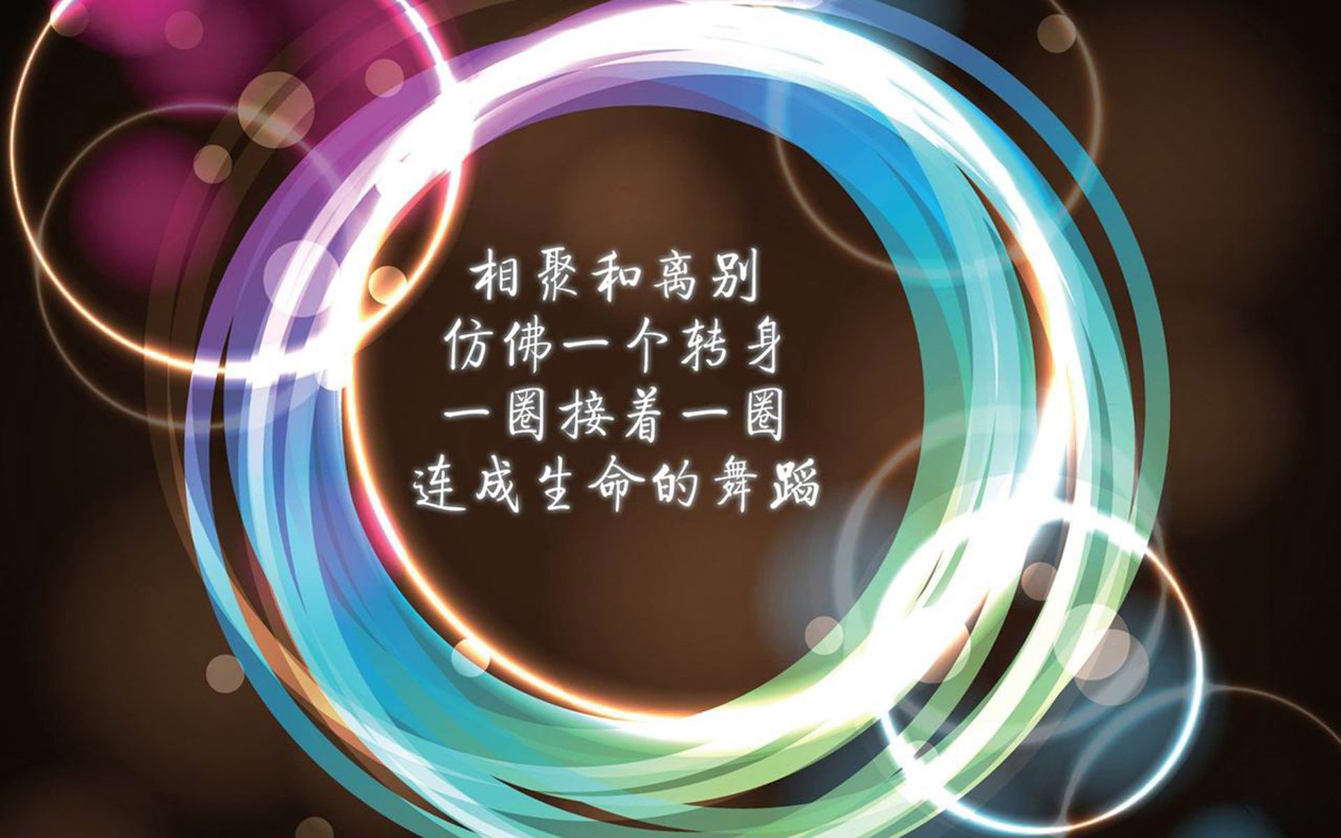 蓝衣之殇与橙魂之光，2026世界杯D组决战，范戴克铸就唯一时刻